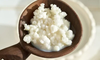 Alimentos Fermentados