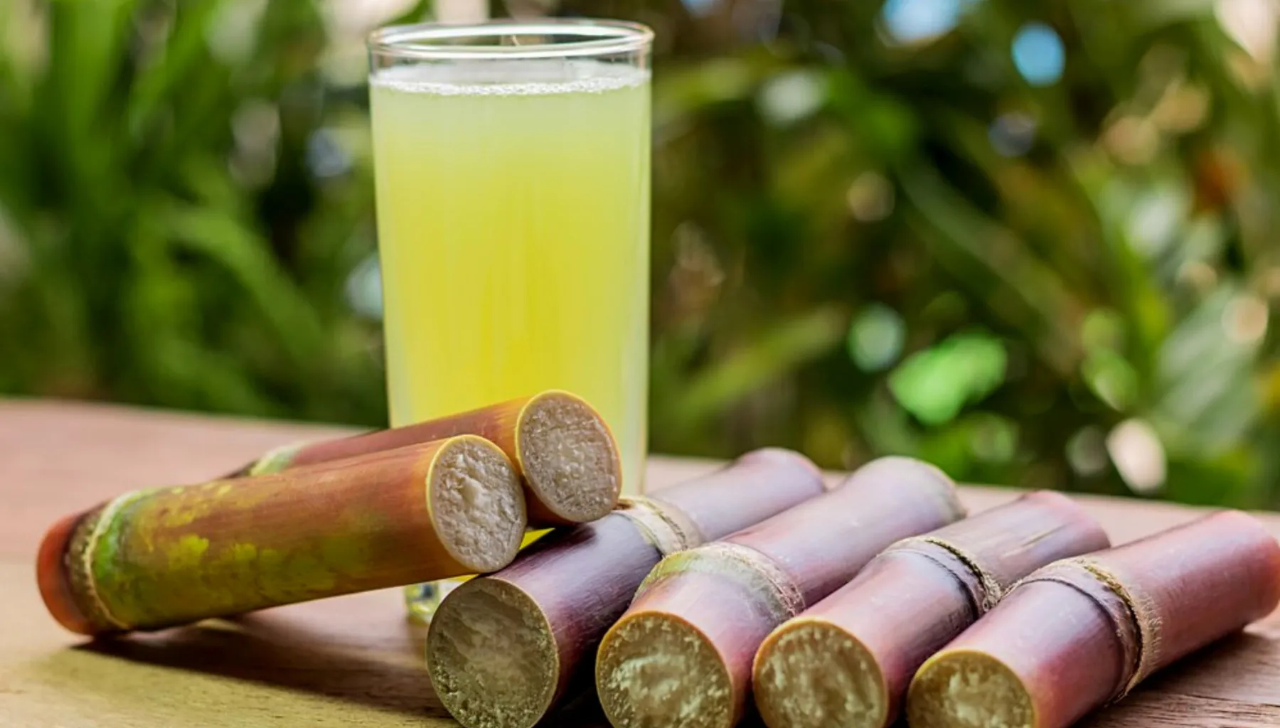 Caldo de Cana Aumenta as Plaquetas