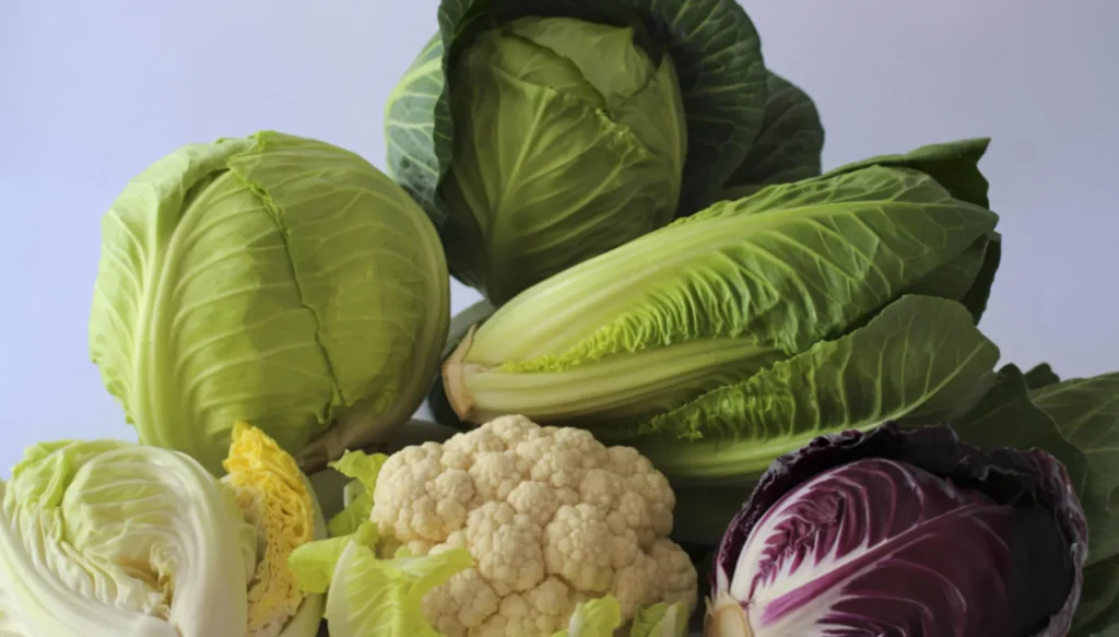 5 Vegetais Folhosos que Nunca Devem Ser Consumidos Crus