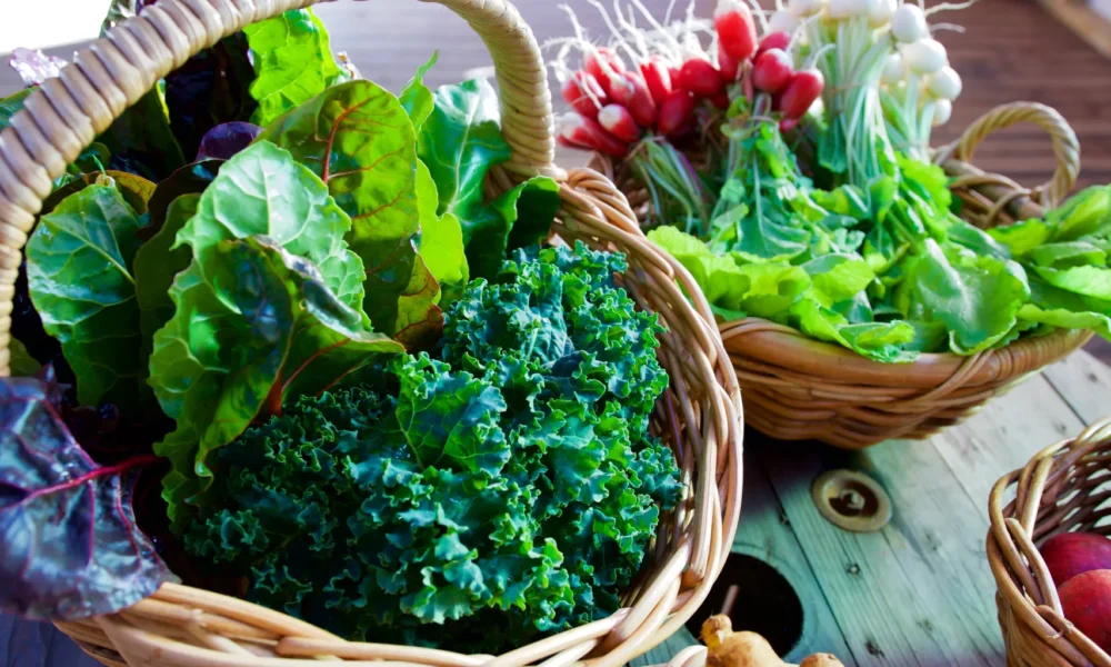 5 Vegetais Folhosos que Nunca Devem Ser Consumidos Crus