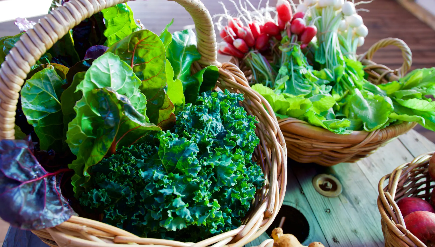 5 Vegetais Folhosos que Nunca Devem Ser Consumidos Crus