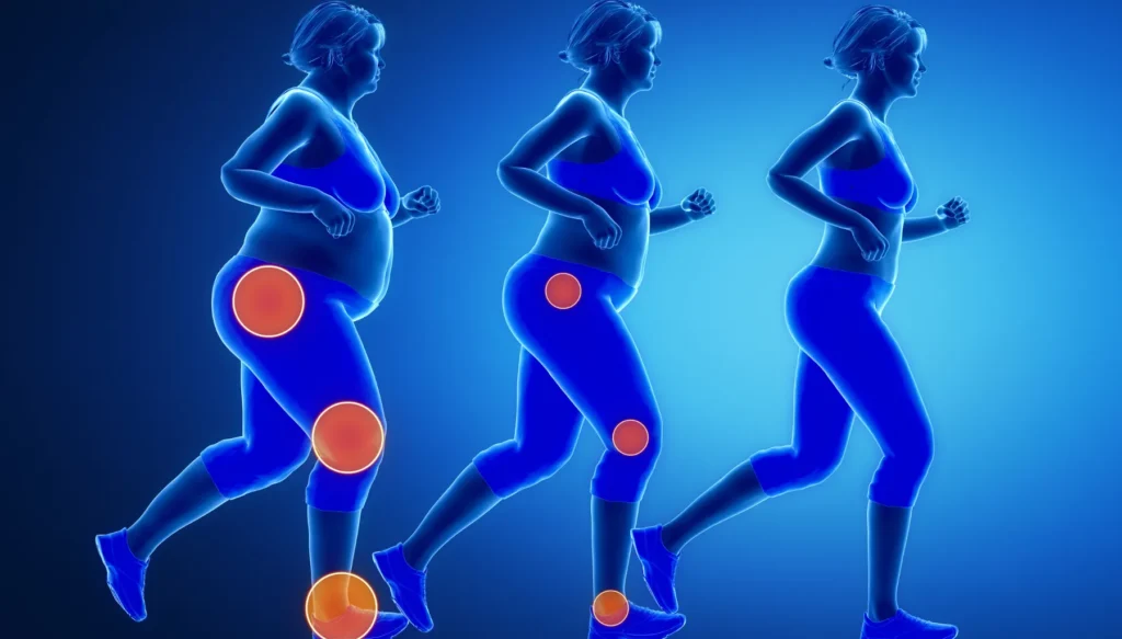 A Rotina que Emagrece