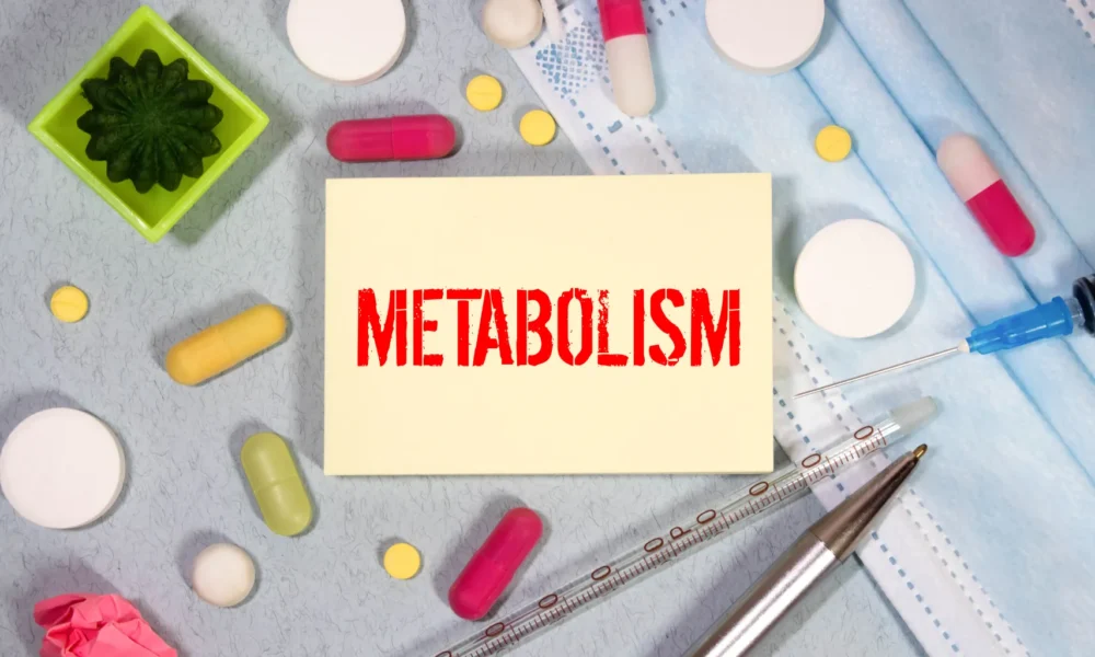 Metabolismo Lento