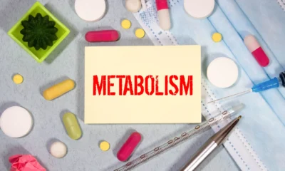 Metabolismo Lento