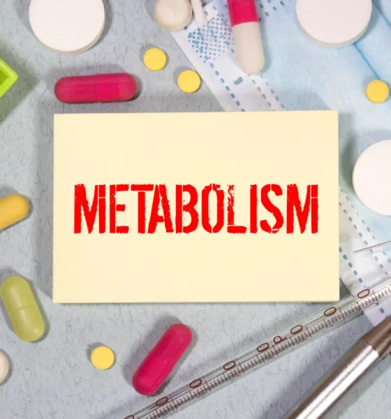 Metabolismo Lento