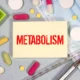 Metabolismo Lento