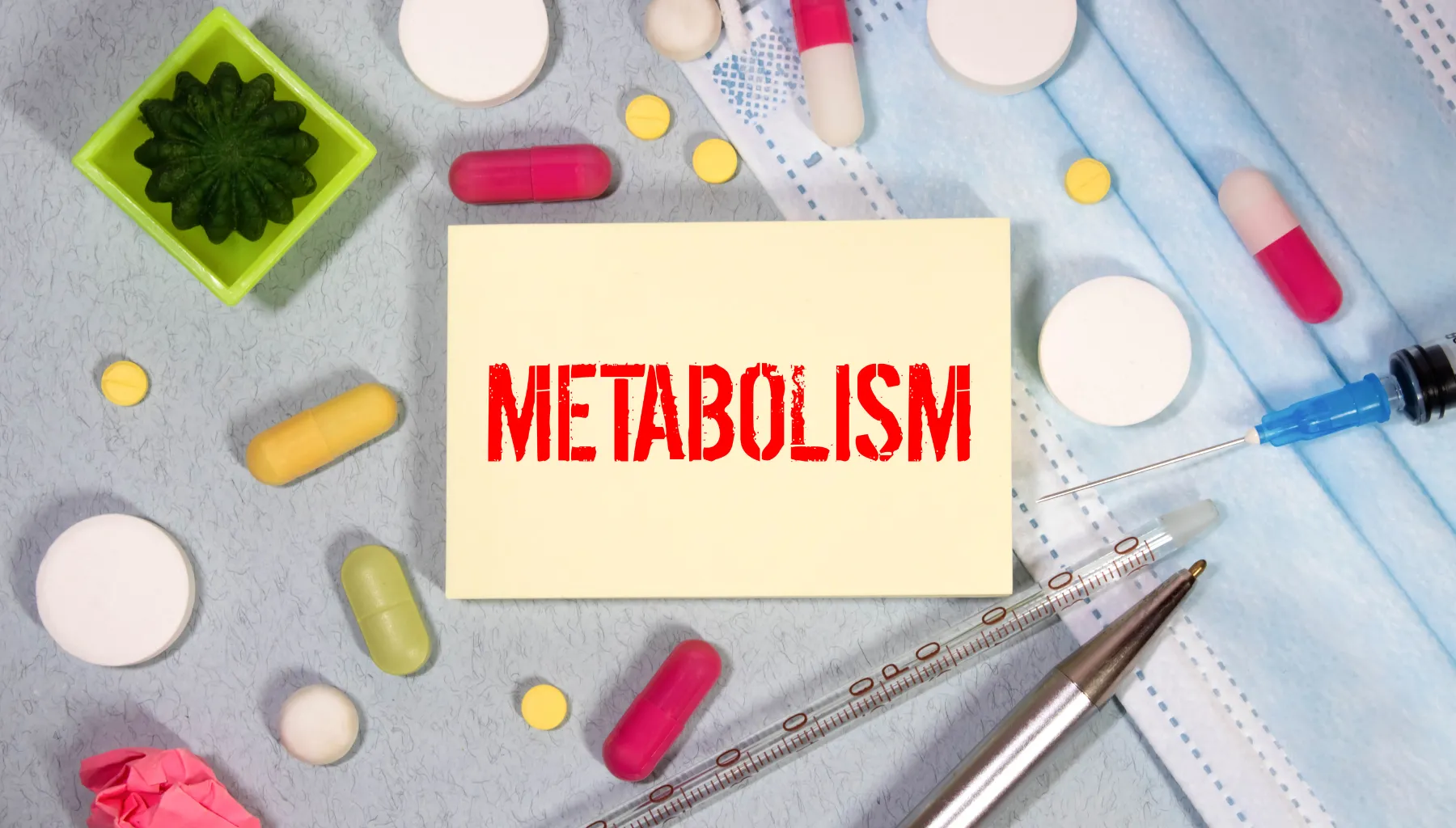 Metabolismo Lento